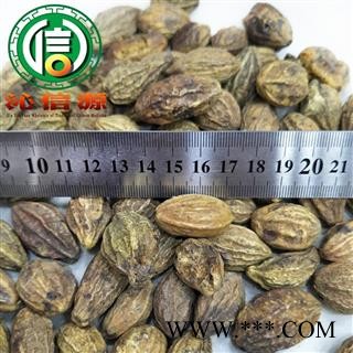 【满包邮】诃子个子统货散装云南产地直供柯子沁信源中药批发图2