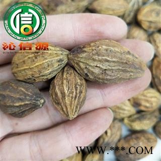 【满包邮】诃子个子统货散装云南产地直供柯子沁信源中药批发图3