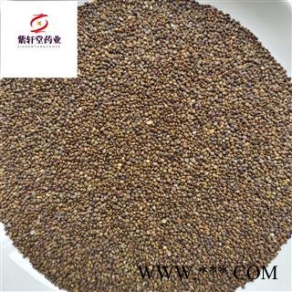 沙苑子 沙苑子水洗净货 产地陕西省 地道药材 紫轩堂药业图4