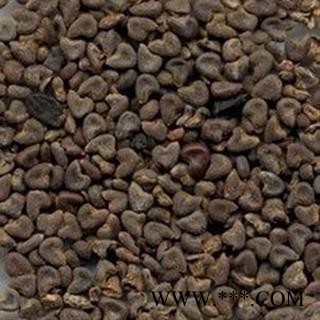 冬葵果 冬葵果净货 产地 山东省 冬葵子 选货 无霉变 无虫蛀图2