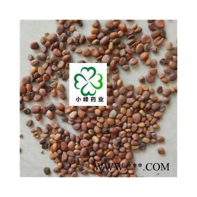 莱菔子 炒莱菔子 选货 新货 颜色好 纯干 产地 山东省