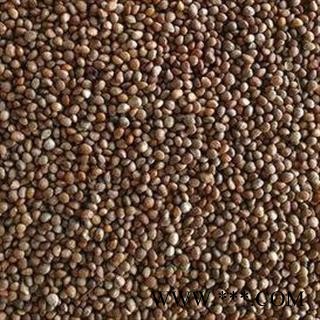 苏子 正品油苏子 颗粒大 油多 产地 山西省 产地直销 重在质量图2