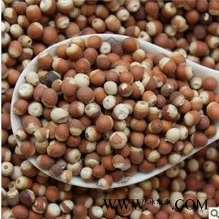 德誉堂药业芡实 选装，芡实个 12厘选装  批发各种中药材图2