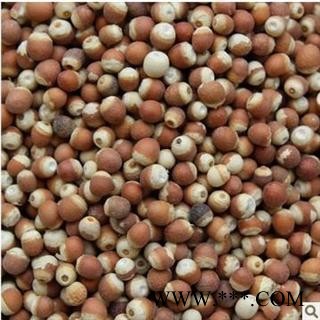 德誉堂药业芡实 选装，芡实个 12厘选装  批发各种中药材图3