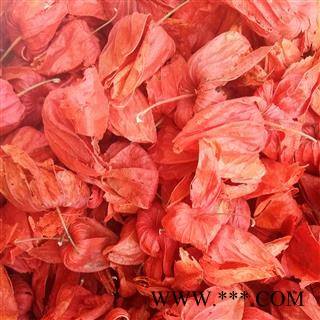 锦灯笼 统货 产地 四川省图2