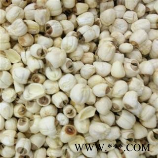 白莲子 食用白莲子 产地 江西省图2