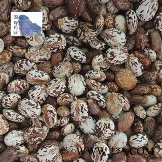 蓖麻子 统货 无虫蛀 无硫磺 国峰药业 重在品质 产地 山东省图2