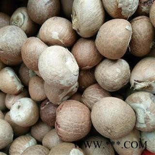 槟榔 槟榔球 槟榔个 大白个 无虫蛀无霉变 今年新货 纯干货 产地 广西壮族自治区图2