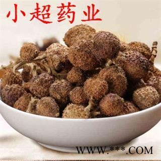 砂仁 04 广东省 阳春砂仁 选 产地 广东省图2