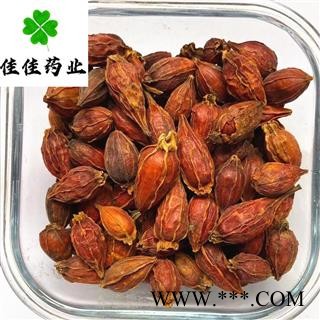 栀子 福建红栀子选装个 一个价格一个质量 新货颜色好 产地 江西省栀子 善栀子 红栀子图2