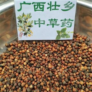 广西壮乡中草药 野生 正宗 2021年鲜货 地下明珠 落地珍珠 一滴金丹 茅膏菜根 产地 广西 融水苗族自治县图2