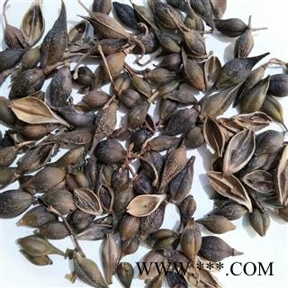 连翘 青翘水煮(汽蒸)选货 产地 河南省图3