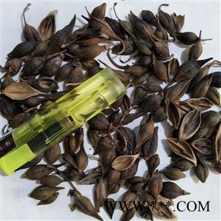 连翘 青翘水煮(汽蒸)选货 产地 河南省图2