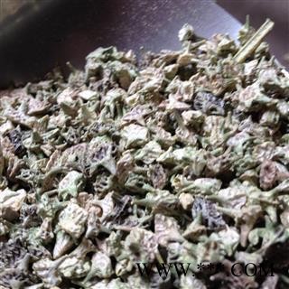 刺蒺藜 白蒺藜 统 产地 河南省濮阳市图2