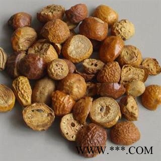 川楝子 生川楝子  金铃子 统货 产地 四川省图3