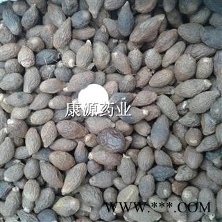 胖大海 大长果 产地 广西图3