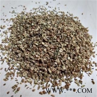 蛇床子 颗粒饱满 选货 大粒蛇床子 蛇米 双肾子 蛇米 蛇珠 蛇粟 蛇床仁 蛇床 气果 额头花子 野茴香 统货 产地 内蒙古图3