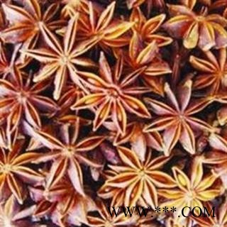八角 统  大茴香 产地 广西壮族自治区图2