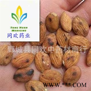 【带皮炒桃仁】@【同欢药材】中药材批发供应 规格齐全 量大从优  产地 山西省图2