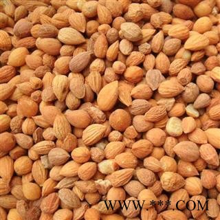 郁李仁 郁李仁选货 质量好 价格低 产地 内蒙古自治区图2