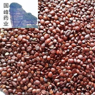 酸枣仁 国产酸枣仁 正品 好选无壳 颗粒饱满 国峰药业 重在品质 产地 山东省图2