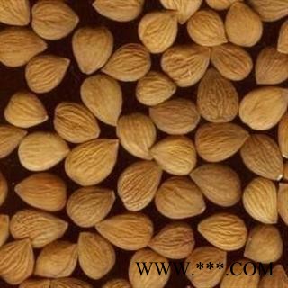 苦杏仁 批发零售各种规格 产地 湖南省图2