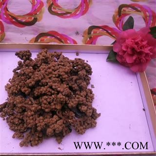 枇杷花 精品货 产地 四川省成都市双流县图3