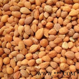 郁李仁 郁李仁选货 产地 内蒙古自治区图2