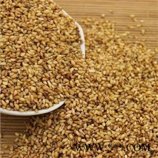 柏子仁好统货  质量好 价格低 产地直销  产地 山东省图2