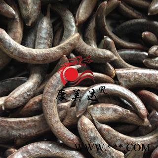 猪牙皂 个子 产地 山东省图2