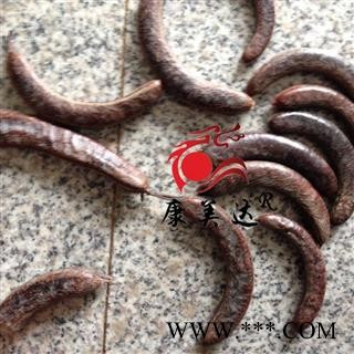 猪牙皂 个子 产地 山东省图3