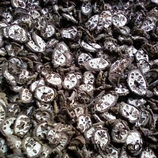 八月札 预知子畜蓄子、木通子、八月瓜、八月炸、羊开口 统货 产地 陕西省图2