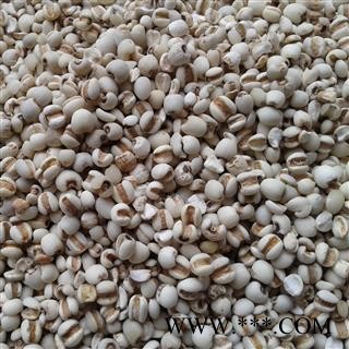 薏苡仁 薏米仁 98货 产地 贵州省图3