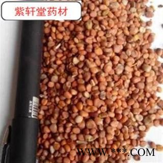 生莱菔子水洗  干净无杂质 选  地道药材图3
