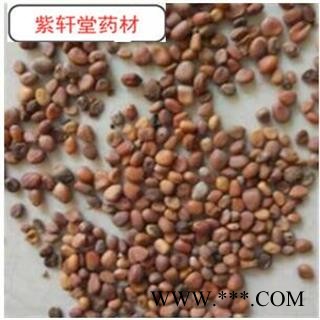 生莱菔子水洗  干净无杂质 选  地道药材图2