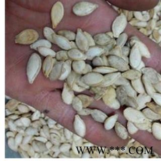 南瓜子 南瓜子 产地 海南省图2