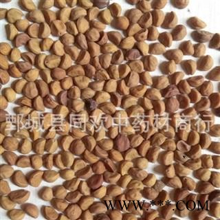 【牵牛子 白丑】@【同欢药材】中药材批发供应  规格齐全 量大从优  产地 河南省图2