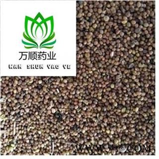 菟丝子 宁夏菟丝子水洗净货 质量好 价格低  产地 宁夏回族自治区