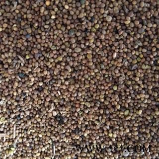 菟丝子 宁夏菟丝子水洗净货 质量好 价格低  产地 宁夏回族自治区图2