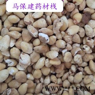 白果 白果仁选货 产地 江苏省图2