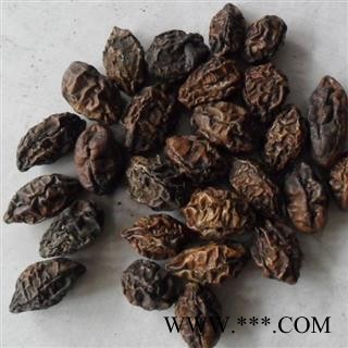 诃子 生诃子 诃子肉 统 产地 青海省图3