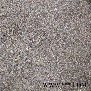 车前子 干度好无杂质 产地 江西省图3