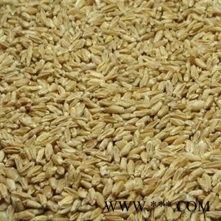 浮小麦 统 产地 河南省图3