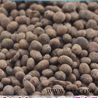 急性子,凤仙子 药用保含量100%实物拍摄冷背药图2