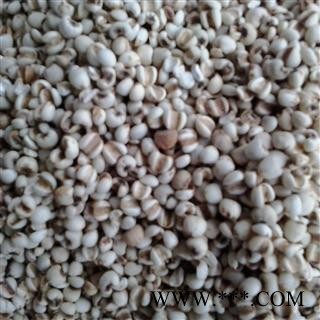 纯天然中药材【薏苡仁 薏米 薏仁】贵州 口感好 新货 特价！图2
