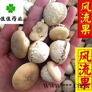 风流果 选 产地 广西壮族自治区 龟头子 壮阳果 供应各种中药材 冷背货 矿石等