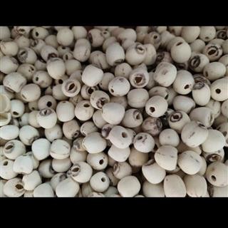 白莲子 湖南空心磨皮白莲子98货 产地 湖南省图2