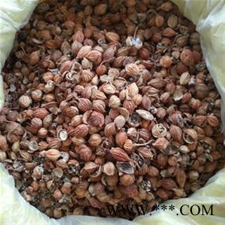 香砂 好统货，批发各种香料 产地 广西图2