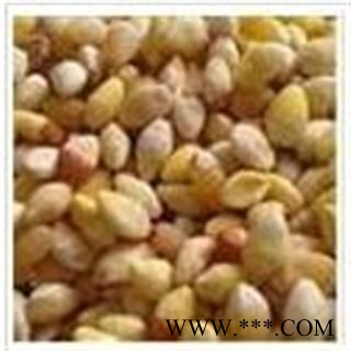 白果 白果仁 统货 产地 山东省济南市市辖区图2