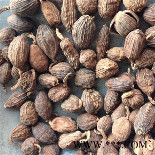 草果 选货   产地 广西壮族自治区图2